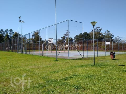 Image 39 - 249767